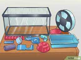 Tips voor het schoonmaken van een hamsterkooi