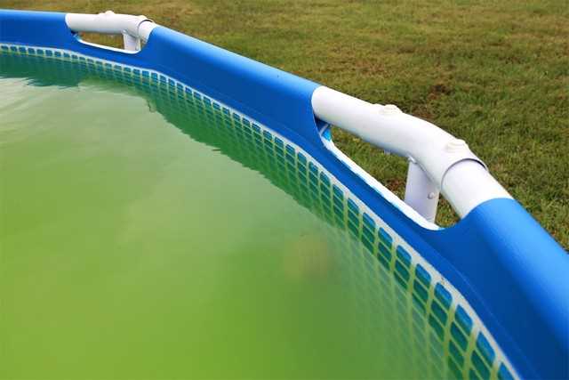 Van groen water in je zwembad afkomen