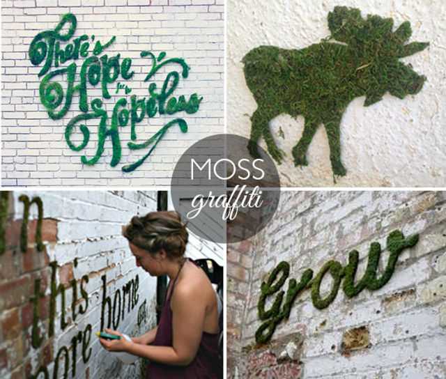 Hoe werkt mosgraffiti?