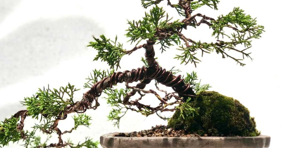 Een bonsaiboom snoeien