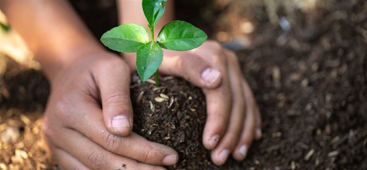 Behoud van biodiversiteit