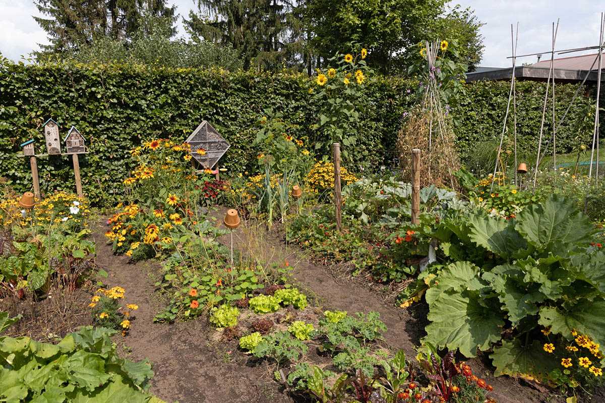 Bijdragen aan de biodiversiteit