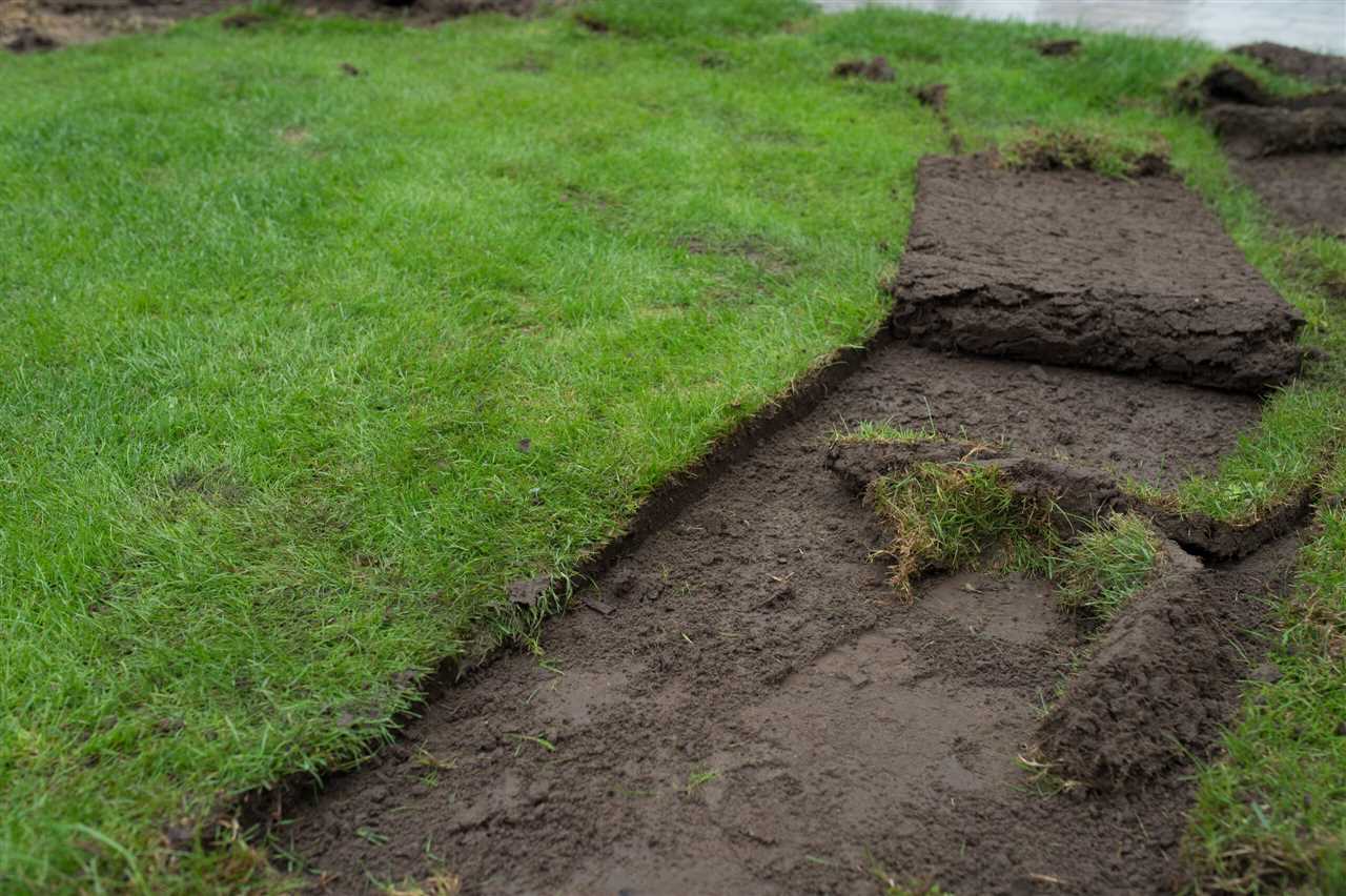 Efficiënte methode voor een strakke en schone tuin