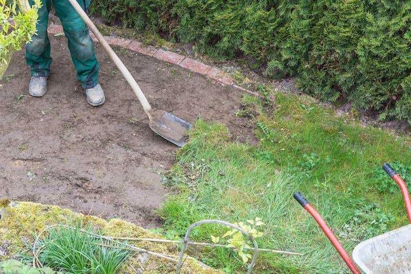 Verwijder ongewenst gras in één keer