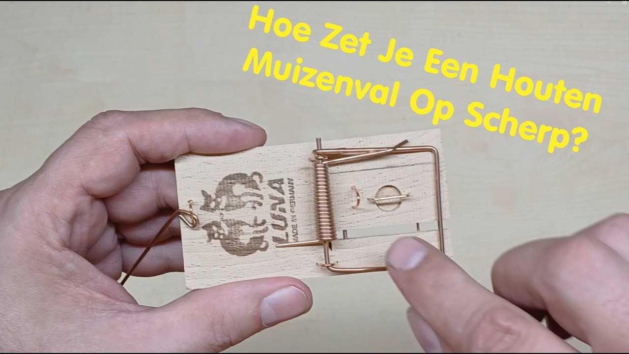 Een muizenval zetten